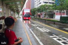 184717_9.jpg  : 72 KB