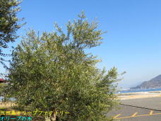 184719_2.jpg  : 87 KB