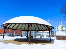 184730_1.jpg  : 105 KB