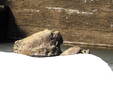 184730_3.jpg  : 170 KB