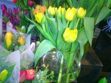 184736_1.jpg  : 124 KB