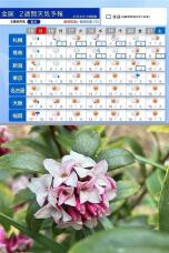 184744_1.jpg  : 167 KB