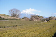 184746_1.jpg  : 596 KB