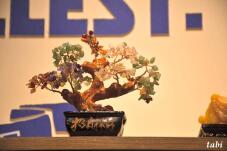 184750_8.jpg  : 49 KB