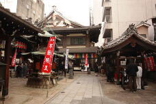 184760_2.jpg  : 153 KB