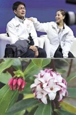 184768_1.jpg  : 128 KB