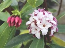 184768_3.jpg  : 52 KB