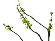 184774_1.jpg  : 30 KB