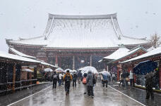 184782_1.jpg  : 462 KB