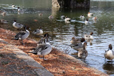 184792_2.jpg  : 130 KB