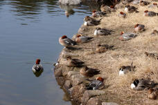 184792_3.jpg  : 104 KB