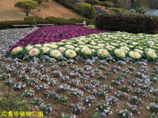 184806_2.jpg  : 110 KB