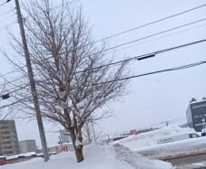 184814_1.jpg  : 39 KB