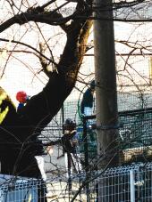 184832_2.jpg  : 671 KB