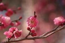 184833_1.jpg  : 19 KB