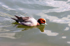 184849_2.jpg  : 48 KB