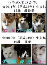 184852_1.jpg  : 77 KB