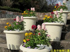 184862_1.jpg  : 76 KB