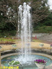 184862_2.jpg  : 67 KB