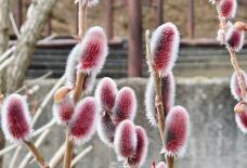 184866_3.jpg  : 77 KB