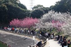 184875_1.jpg  : 158 KB