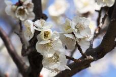 184875_2.jpg  : 78 KB