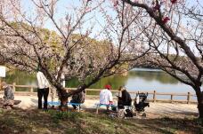 184875_3.jpg  : 182 KB