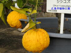 184878_3.jpg  : 48 KB