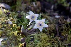 184884_2.jpg  : 72 KB