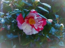 184887_3.jpg  : 96 KB