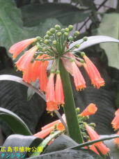 184892_2.jpg  : 51 KB