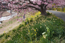 184896_1.jpg  : 375 KB