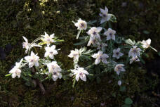 184899_1.jpg  : 93 KB