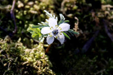 184899_2.jpg  : 66 KB