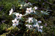 184899_3.jpg  : 85 KB