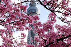 184901_1.jpg  : 439 KB