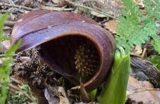 184903_1.jpg  : 46 KB