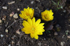 184913_1.jpg  : 65 KB