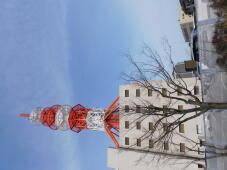 184915_1.jpg  : 490 KB