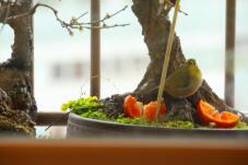 184920_1.jpg  : 84 KB