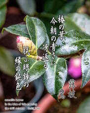 184923_1.jpg  : 226 KB