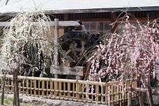 184926_2.jpg  : 260 KB