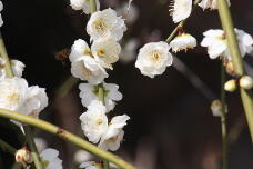 184926_3.jpg  : 101 KB