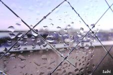 184929_1.jpg  : 58 KB