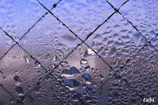 184929_2.jpg  : 96 KB