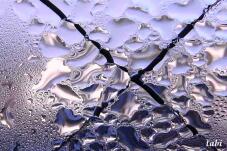 184929_3.jpg  : 100 KB