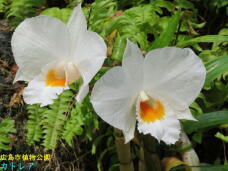 184931_1.jpg  : 50 KB