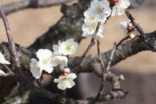 184939_1.jpg  : 112 KB