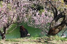 184939_2.jpg  : 267 KB