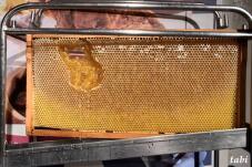 184941_7.jpg  : 117 KB